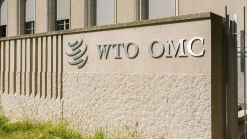 印度柜台WTO统治钢税
