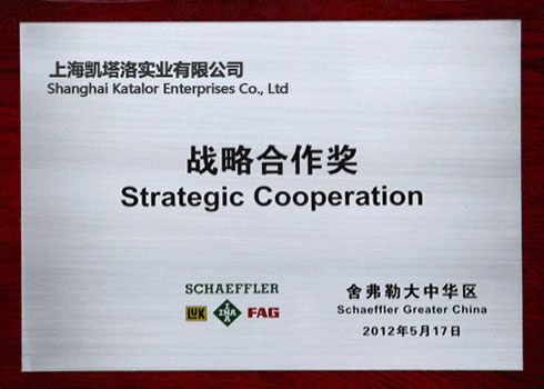 Schaeffler中国战略合作奖
